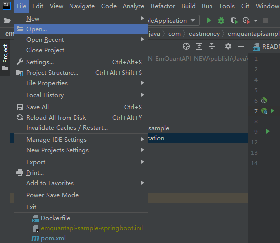 Intellij1